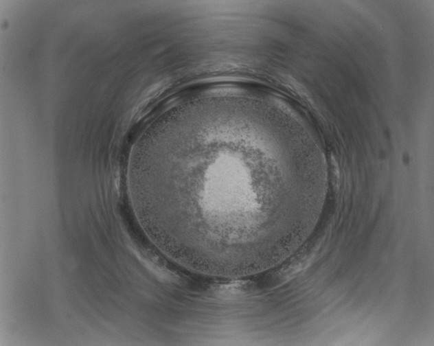 X0000068900072200605081356