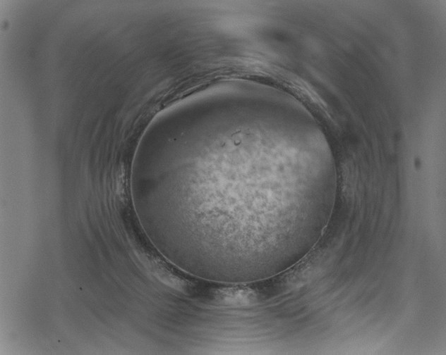 X0000068900073200605081356