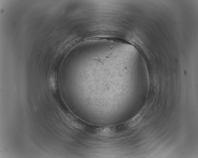 X0000068900074200605081356