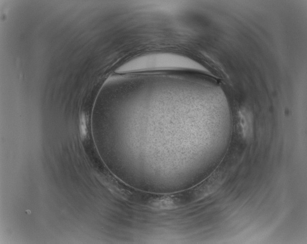 X0000068900075200605081356