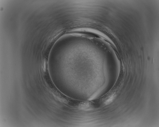 X0000068900076200605081356