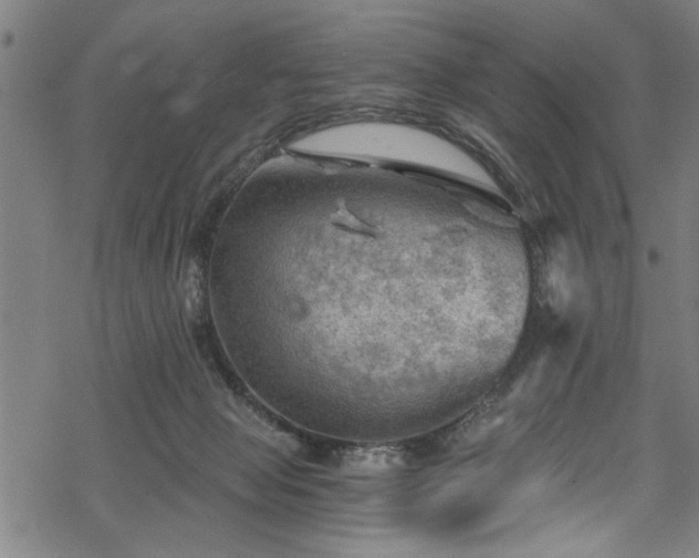 X0000068900077200605081356