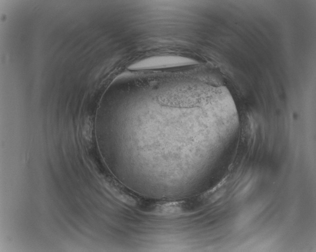 X0000068900078200605081356