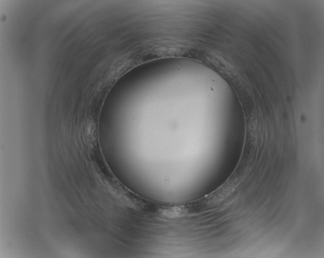 X0000068900079200605081356