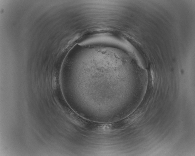 X0000068900080200605081356