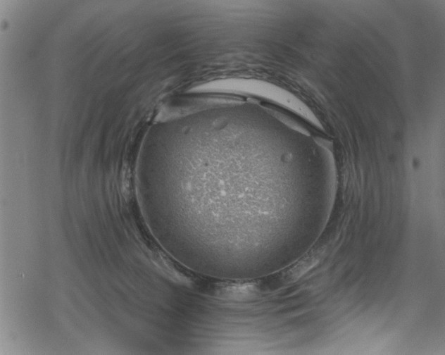 X0000068900081200605081356