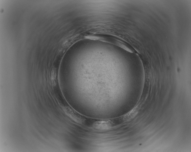 X0000068900082200605081356