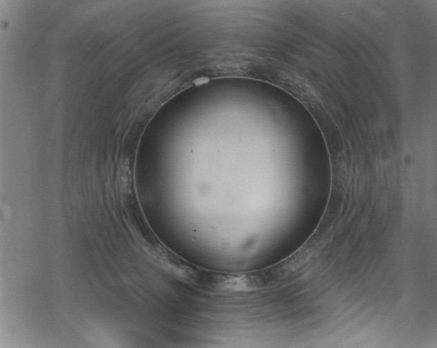 X0000068900083200605081356