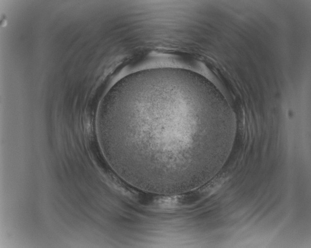 X0000068900084200605081356