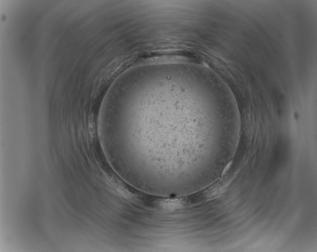 X0000068900085200605081356