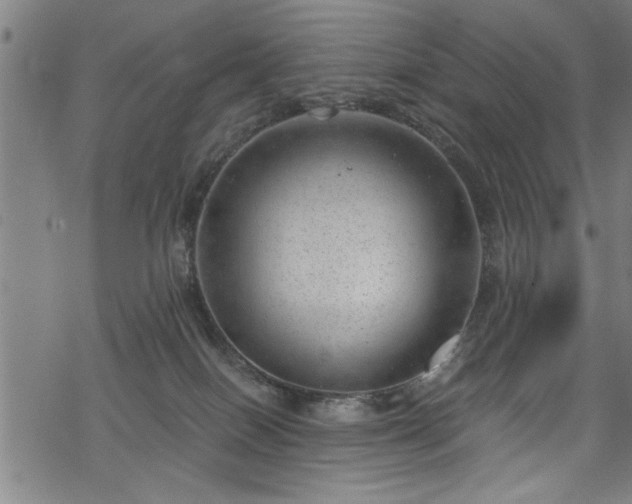 X0000068900086200605081356