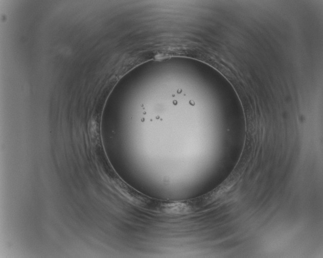 X0000068900087200605081356