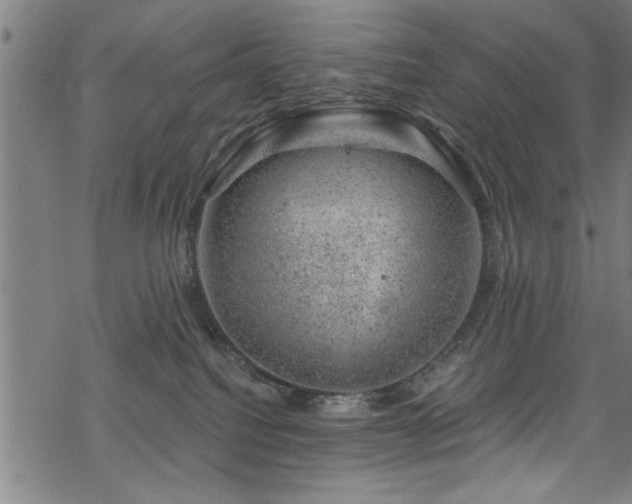 X0000068900088200605081356