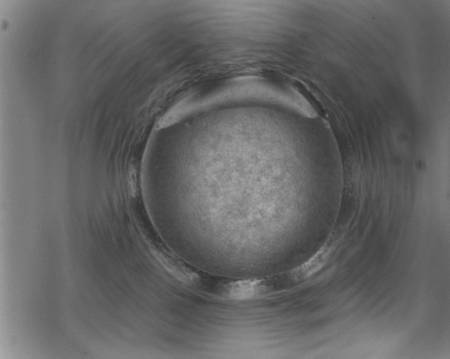 X0000068900090200605081356