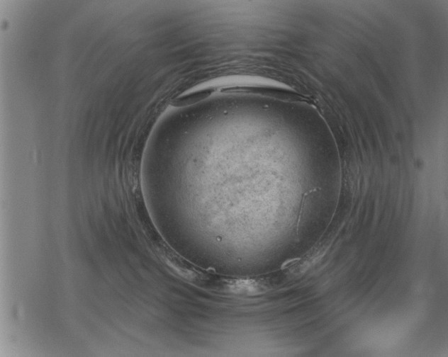 X0000068900091200605081356