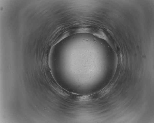 X0000068900092200605081356