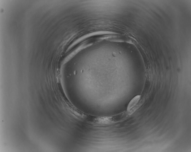 X0000068900093200605081356