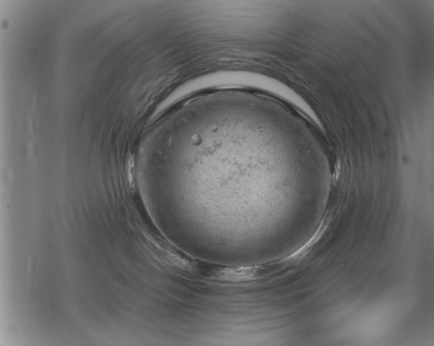 X0000068900094200605081356