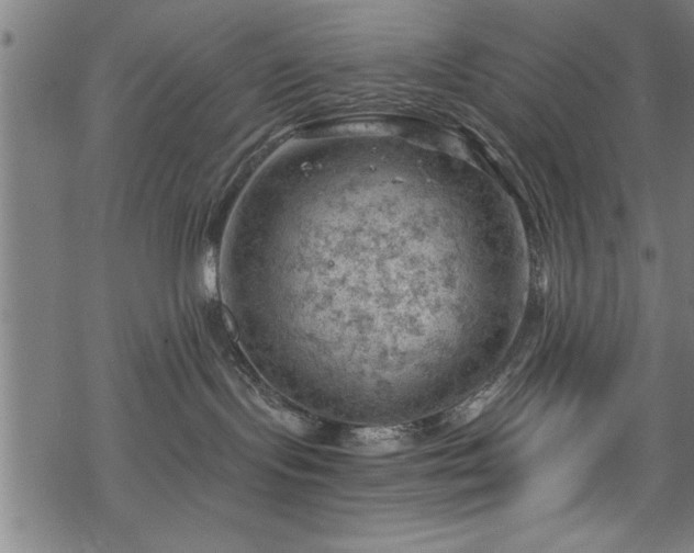 X0000068900095200605081356