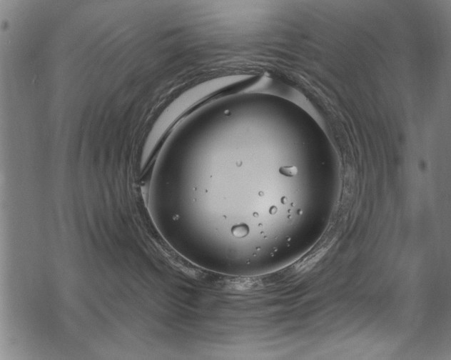 X0000068900096200605081356