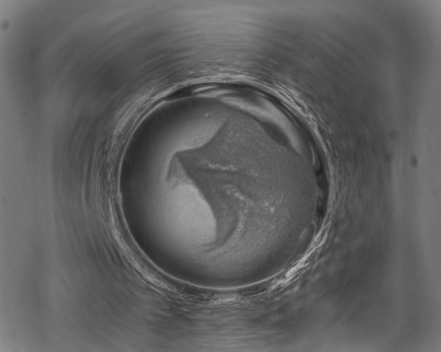 X0000068900097200605081355