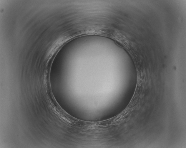 X0000068900098200605081355