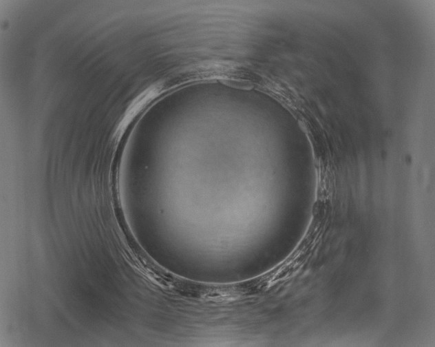 X0000068900099200605081355