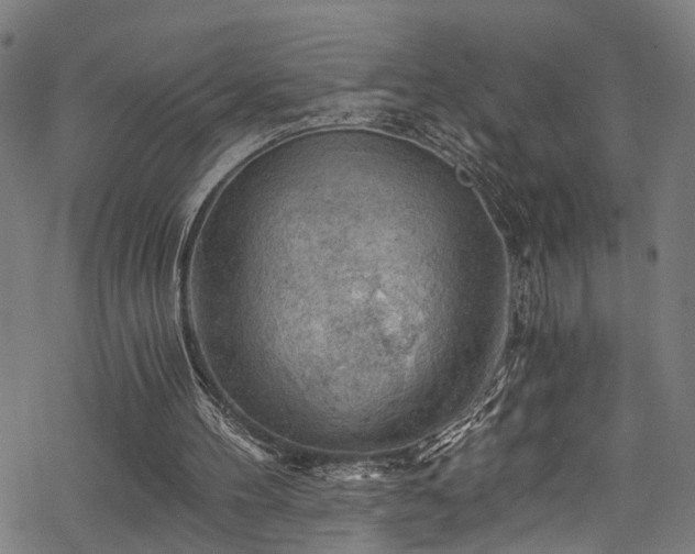 X0000068900100200605081355