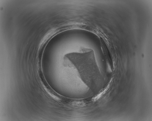 X0000068900101200605081355