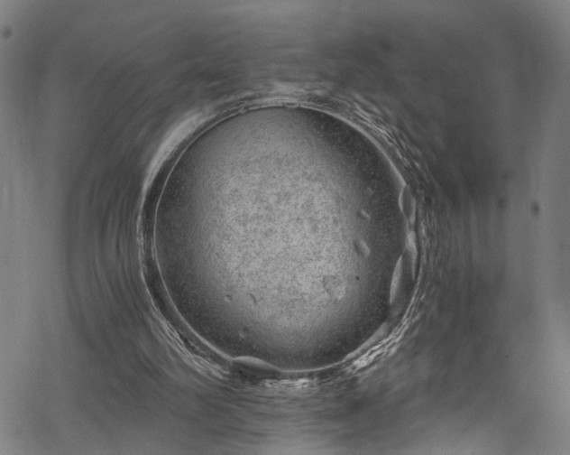 X0000068900102200605081355