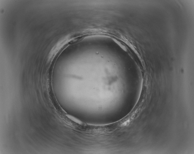 X0000068900103200605081355