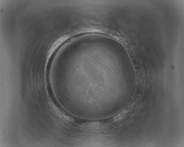 X0000068900104200605081355