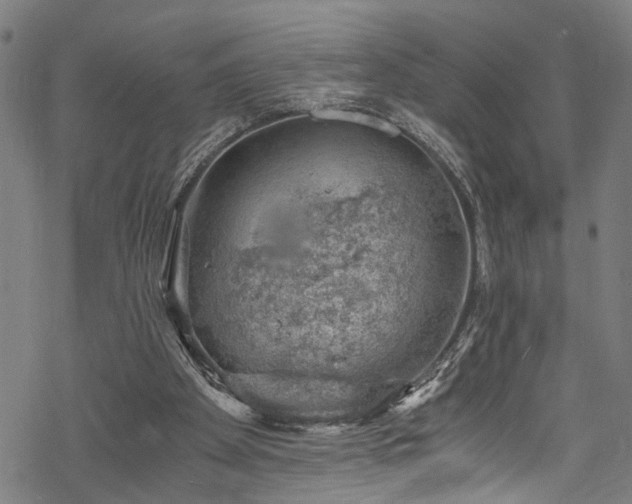 X0000068900105200605081355