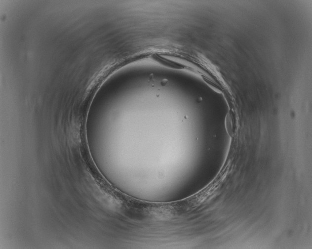 X0000068900106200605081355