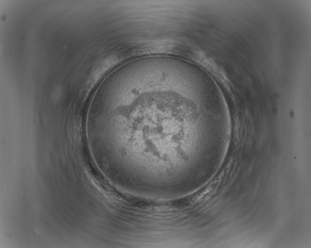 X0000068900107200605081355