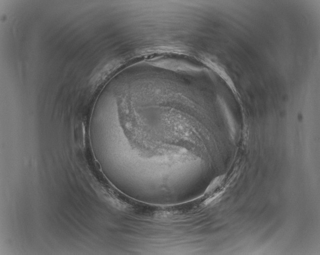 X0000068900109200605081355