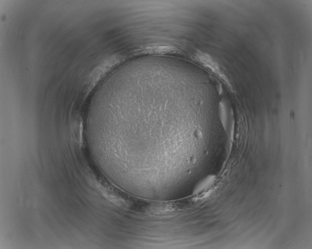 X0000068900110200605081355