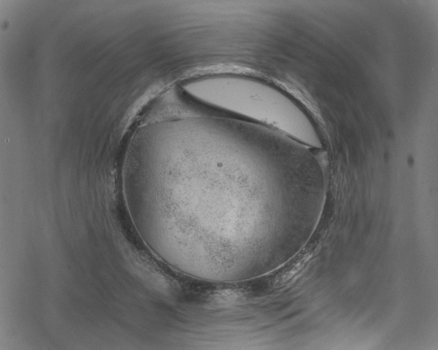 X0000068900111200605081355