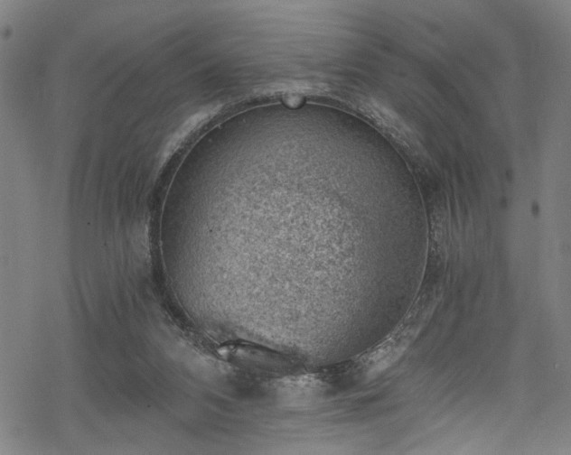 X0000068900112200605081355