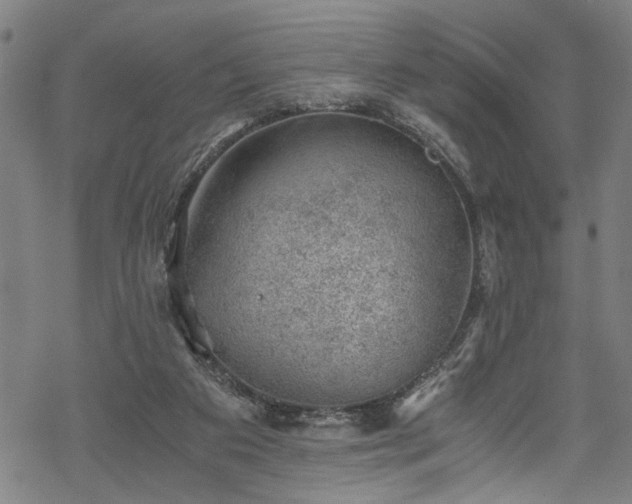 X0000068900113200605081355