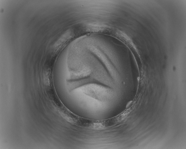 X0000068900114200605081355