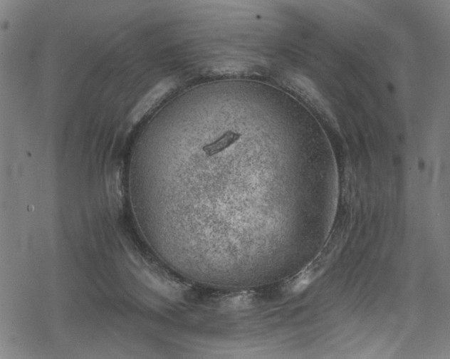 X0000068900116200605081355