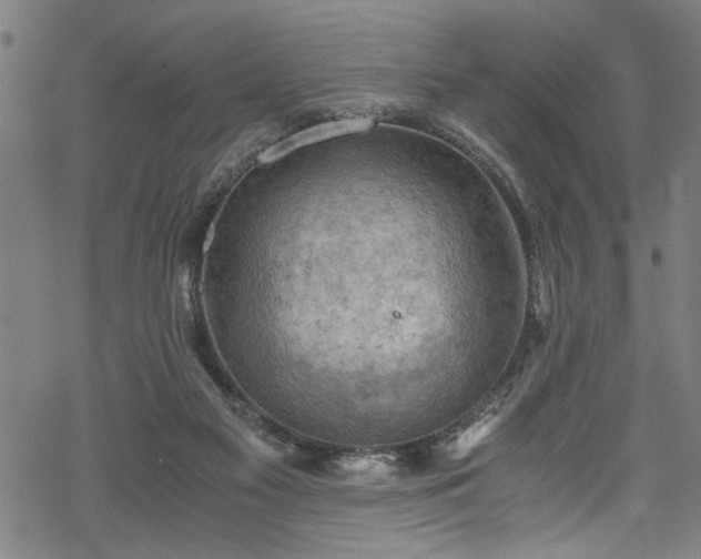 X0000068900117200605081355