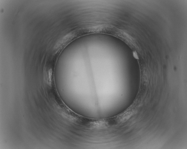 X0000068900118200605081355