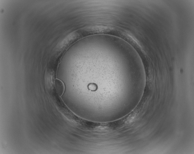 X0000068900119200605081355