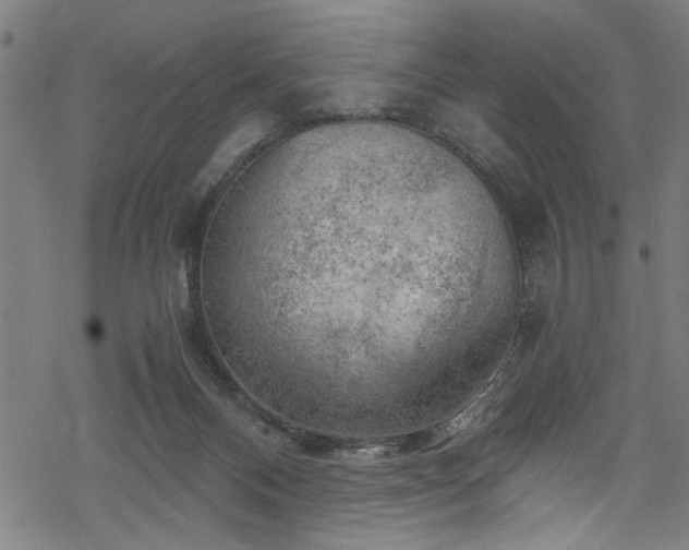 X0000068900120200605081355