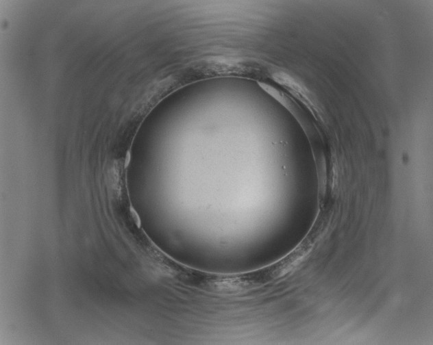 X0000068900121200605081355