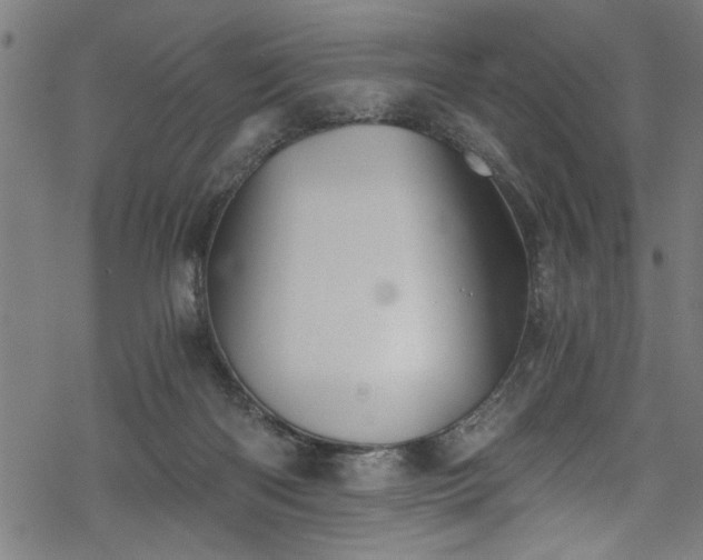 X0000068900122200605081355