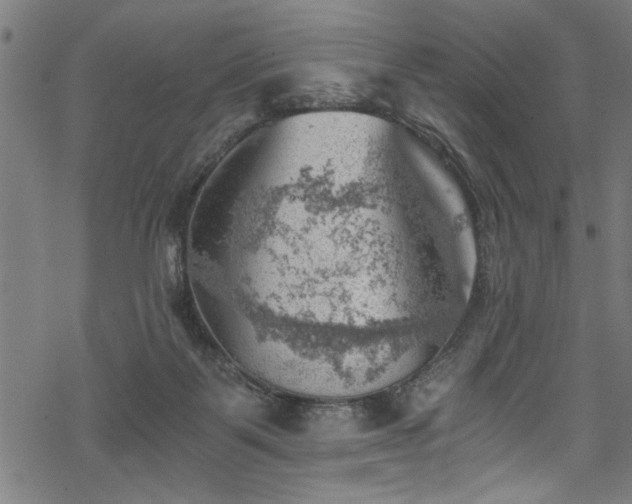 X0000068900123200605081355