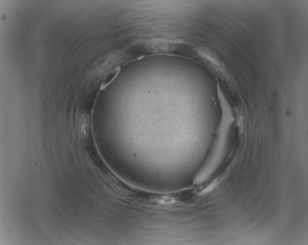 X0000068900125200605081355